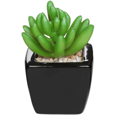 Set of 3 Modern Home Decor Mini Succulent Artificial Plants