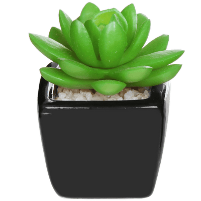 Set of 3 Modern Home Decor Mini Succulent Artificial Plants