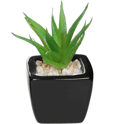 Set of 3 Modern Home Decor Mini Succulent Artificial Plants