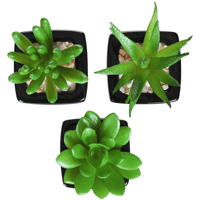 Set of 3 Modern Home Decor Mini Succulent Artificial Plants