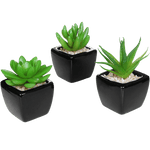 Set of 3 Modern Home Decor Mini Succulent Artificial Plants