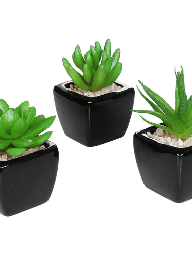 Set of 3 Modern Home Decor Mini Succulent Artificial Plants