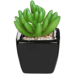 Set of 3 Modern Home Decor Mini Succulent Artificial Plants